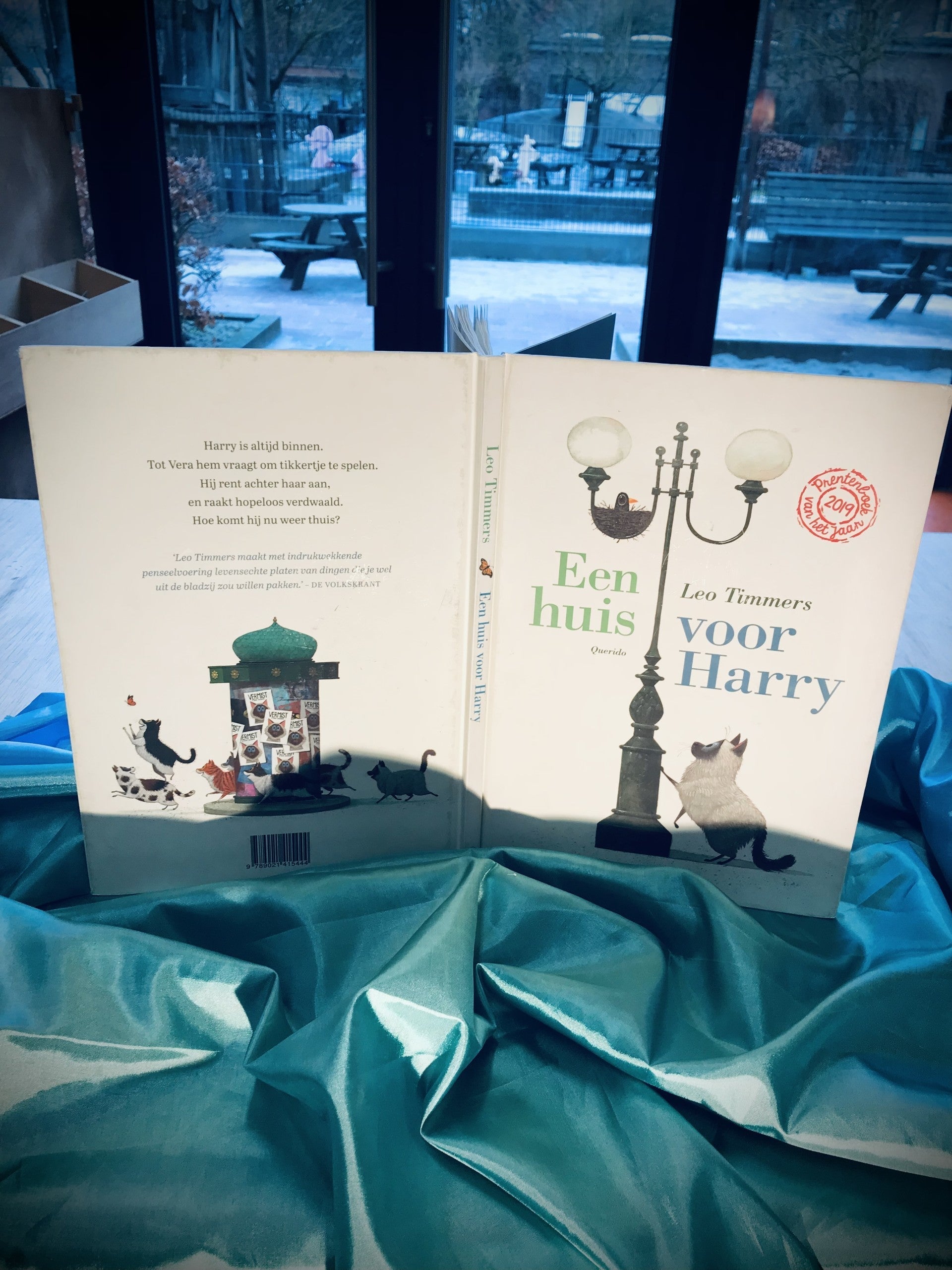 Werken met een rijk prentenboek “Een huis voor Harry”