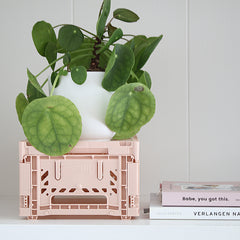 Collection image for: Interieur