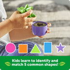 Shape & Colour Garden