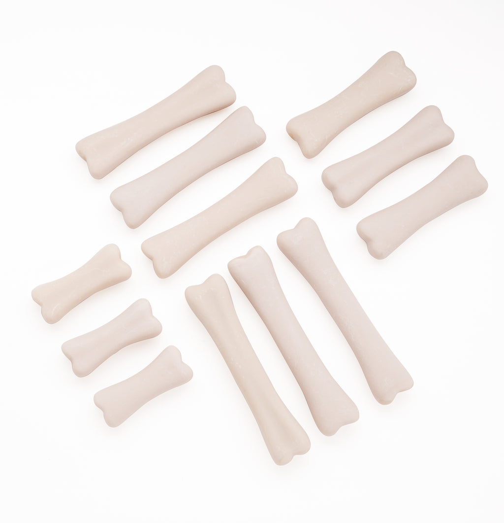 Dinosaur Bones Discovery Set