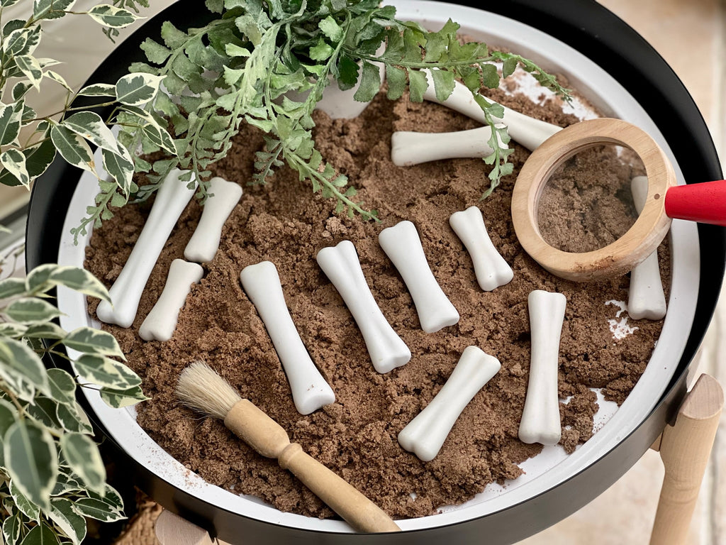 Dinosaur Bones Discovery Set