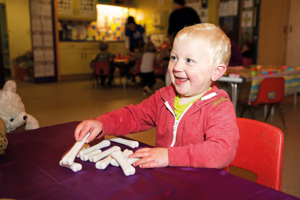 Dinosaur Bones Discovery Set