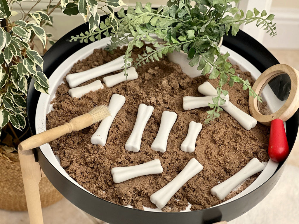 Dinosaur Bones Discovery Set