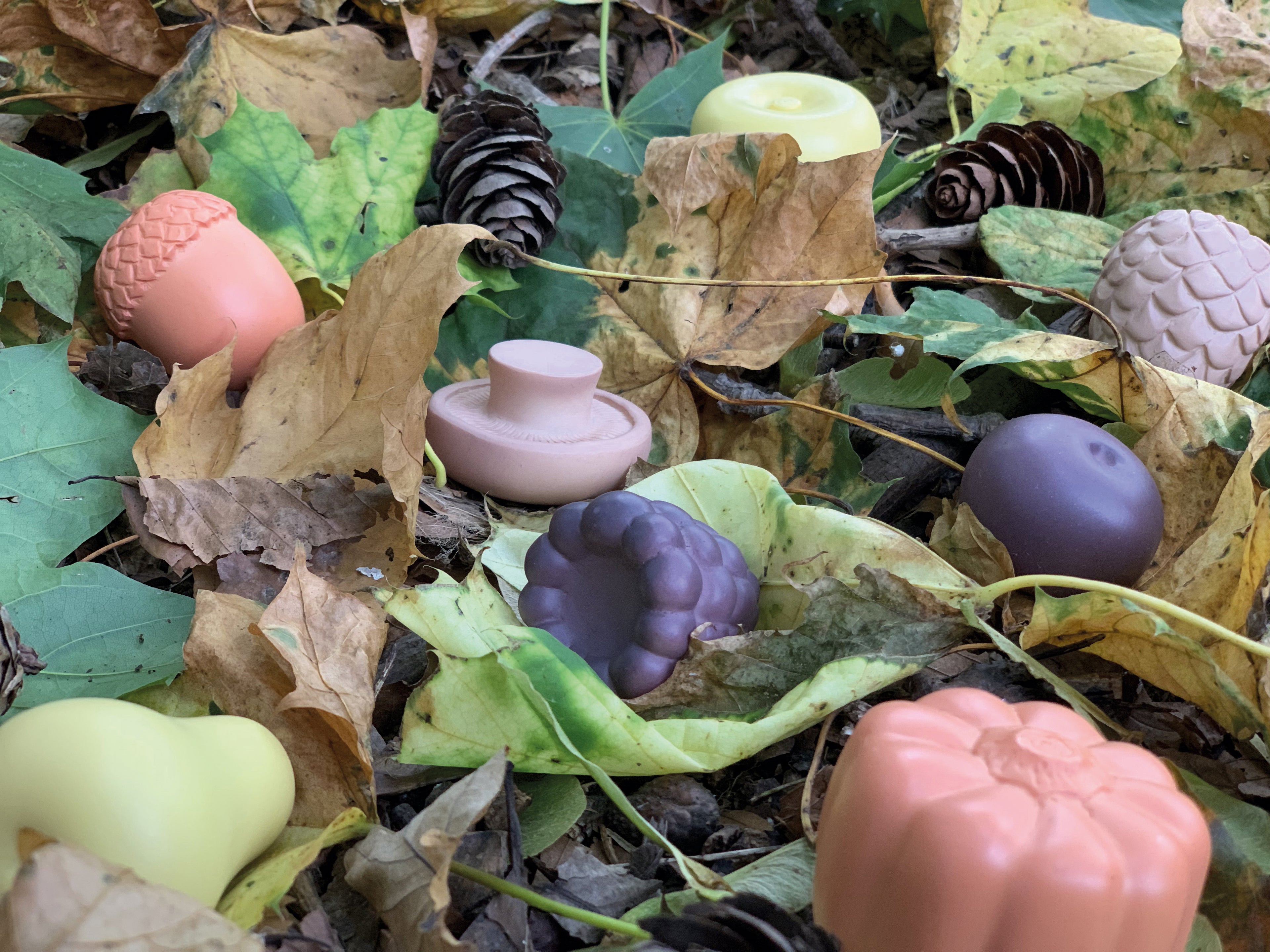 Sensory Play Set Feast of Nature
