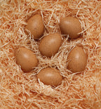 Sensory Sound Egg