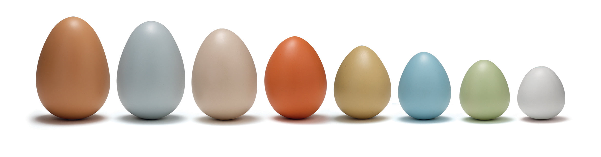 Size-Sorting Eggs