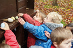 Size-Sorting Eggs