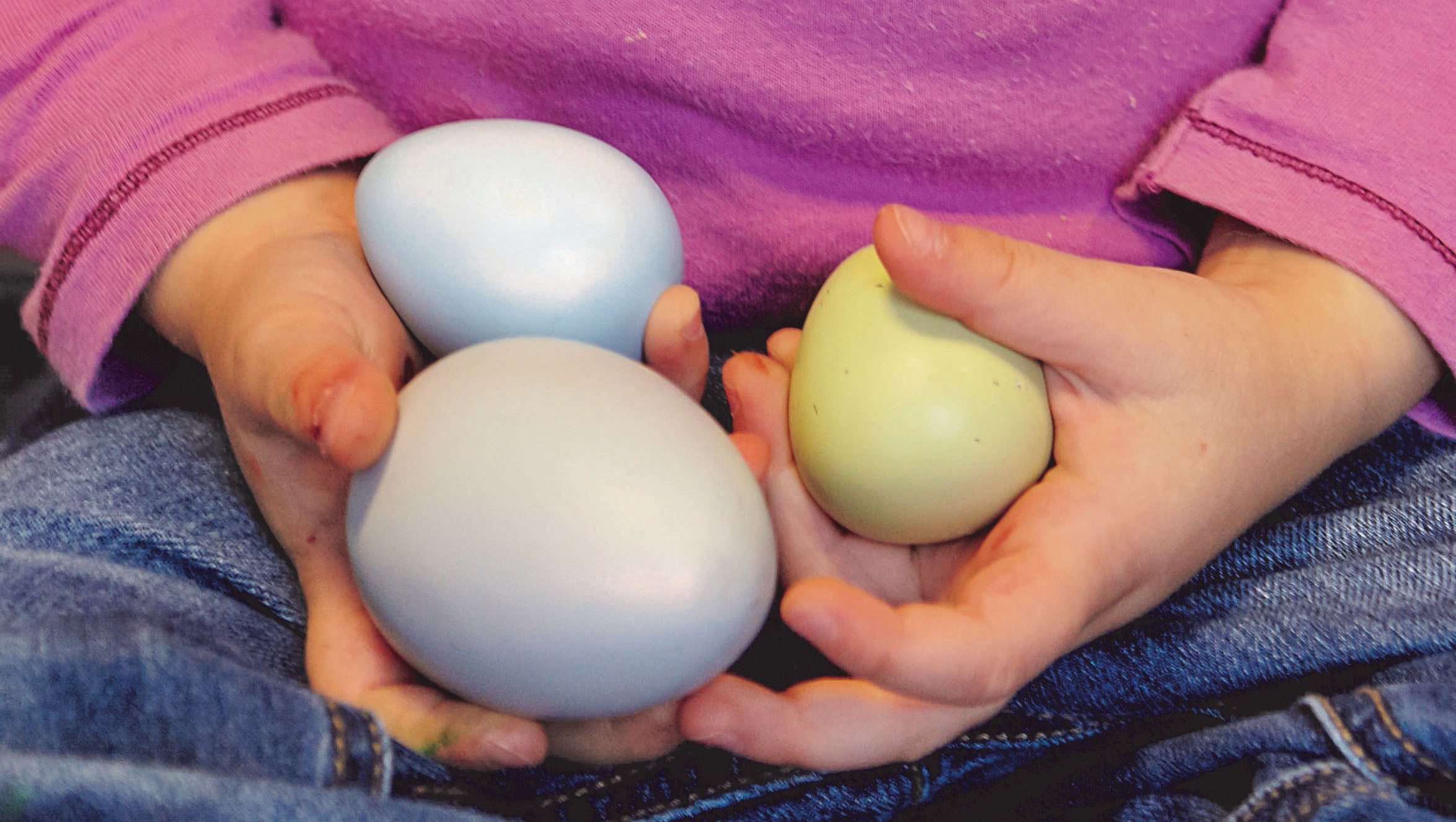 Size-Sorting Eggs