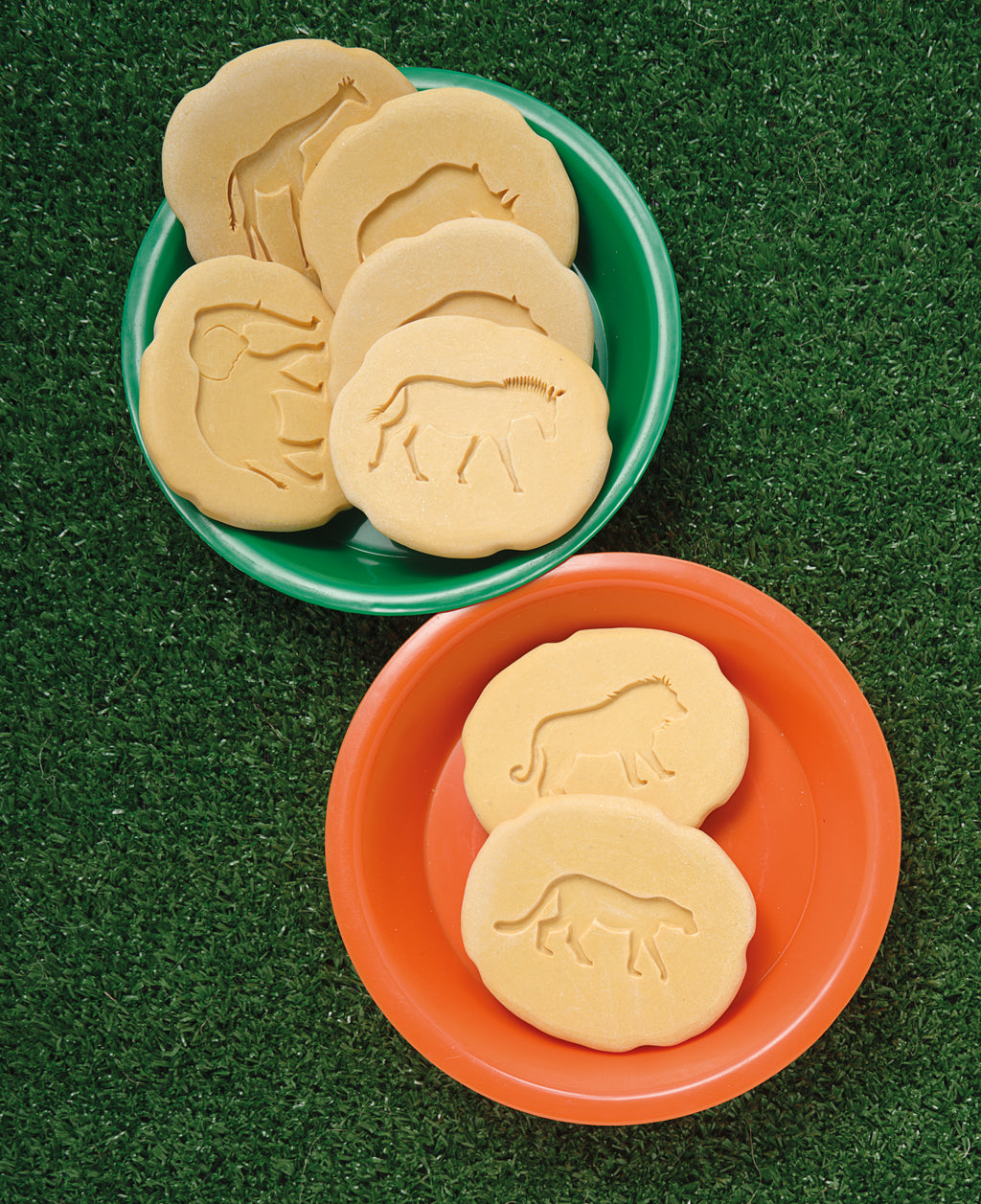 Let’s Investigate – Safari Footprints