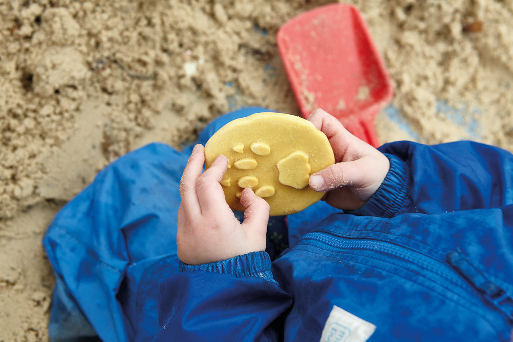 Let’s Investigate – Safari Footprints