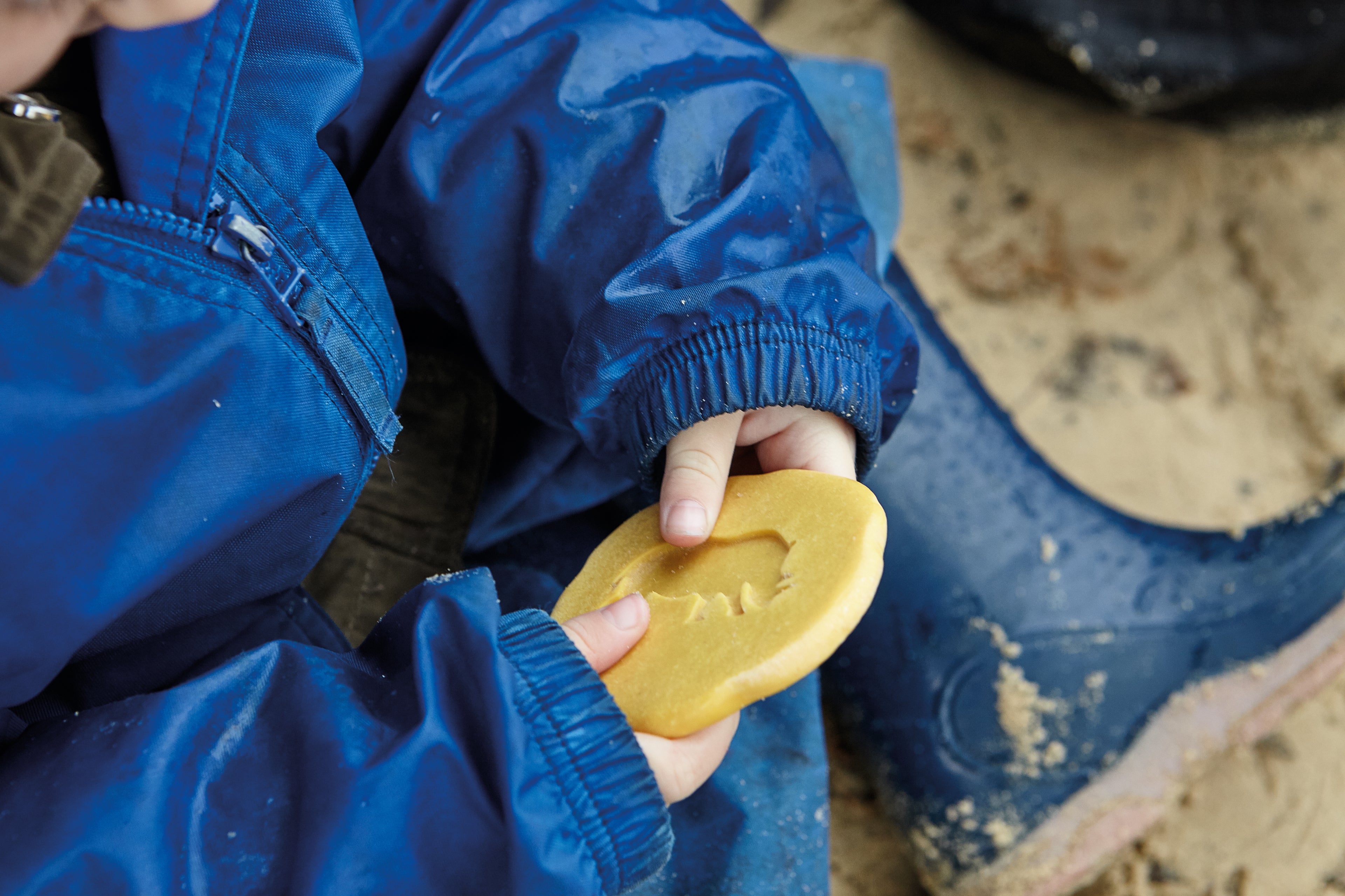 Let’s Investigate – Safari Footprints