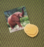 Let’s Investigate – Safari Footprints