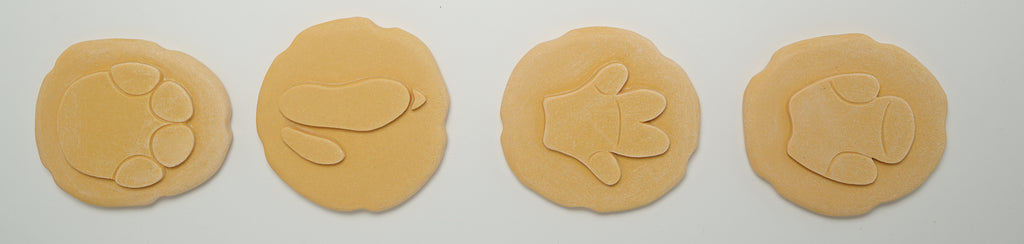 Let’s Investigate – Safari Footprints