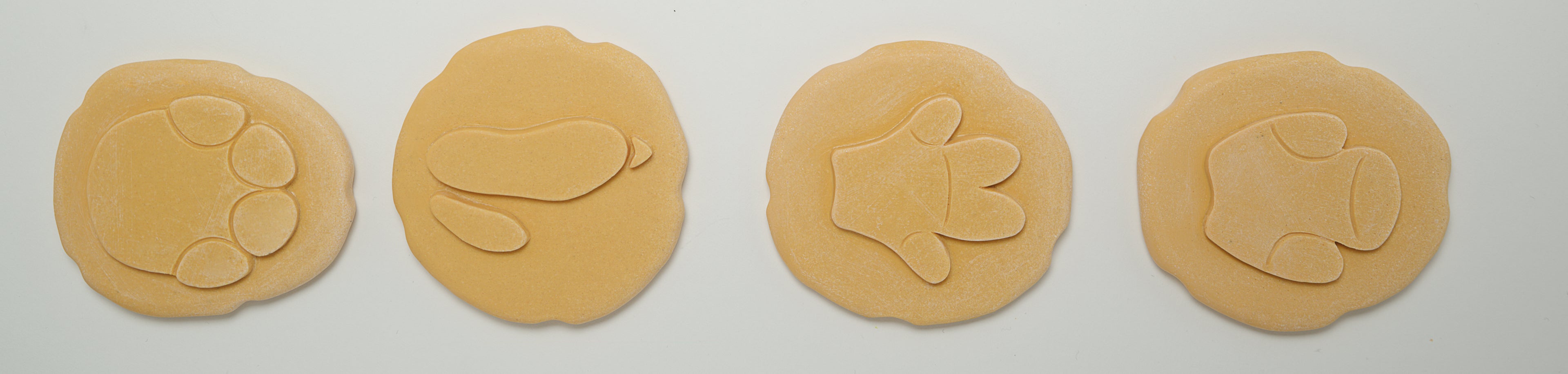 Let’s Investigate – Safari Footprints