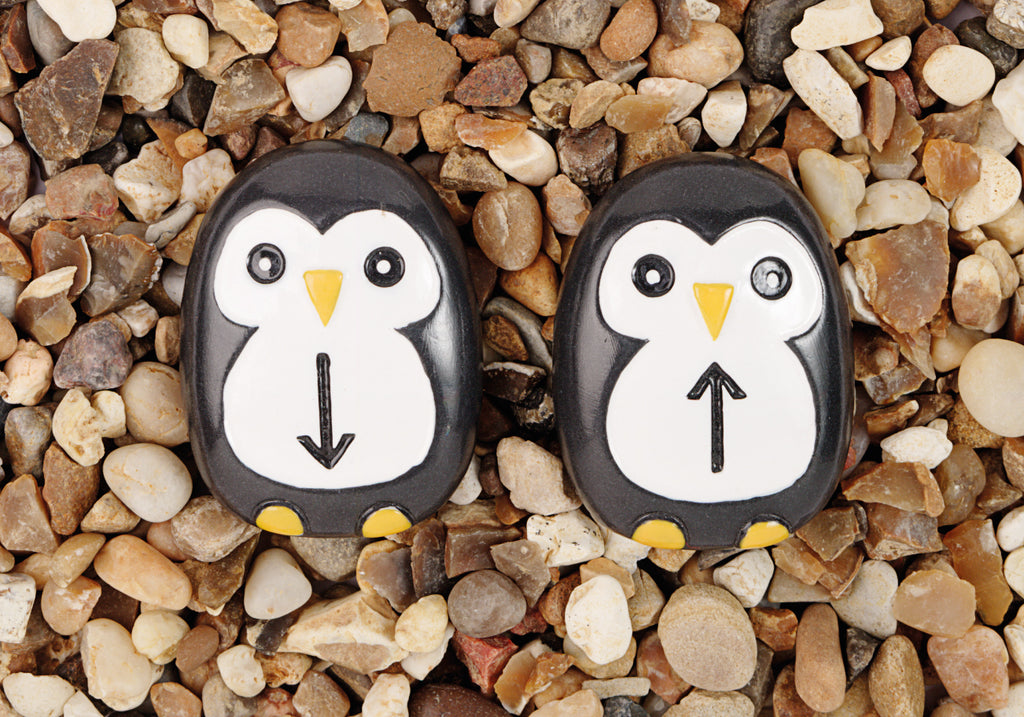 Pre-coding Penguin Stones