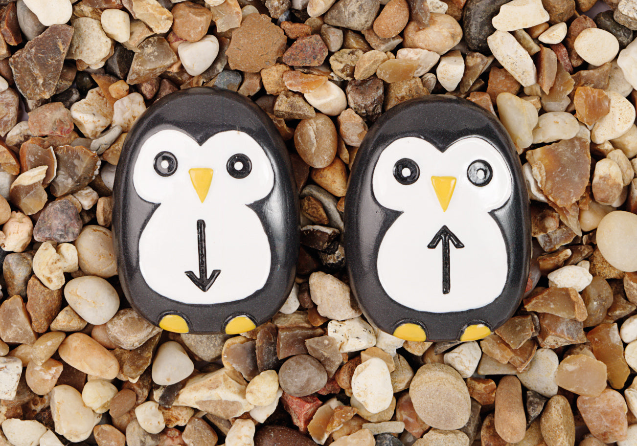 Pre-coding Penguin Stones