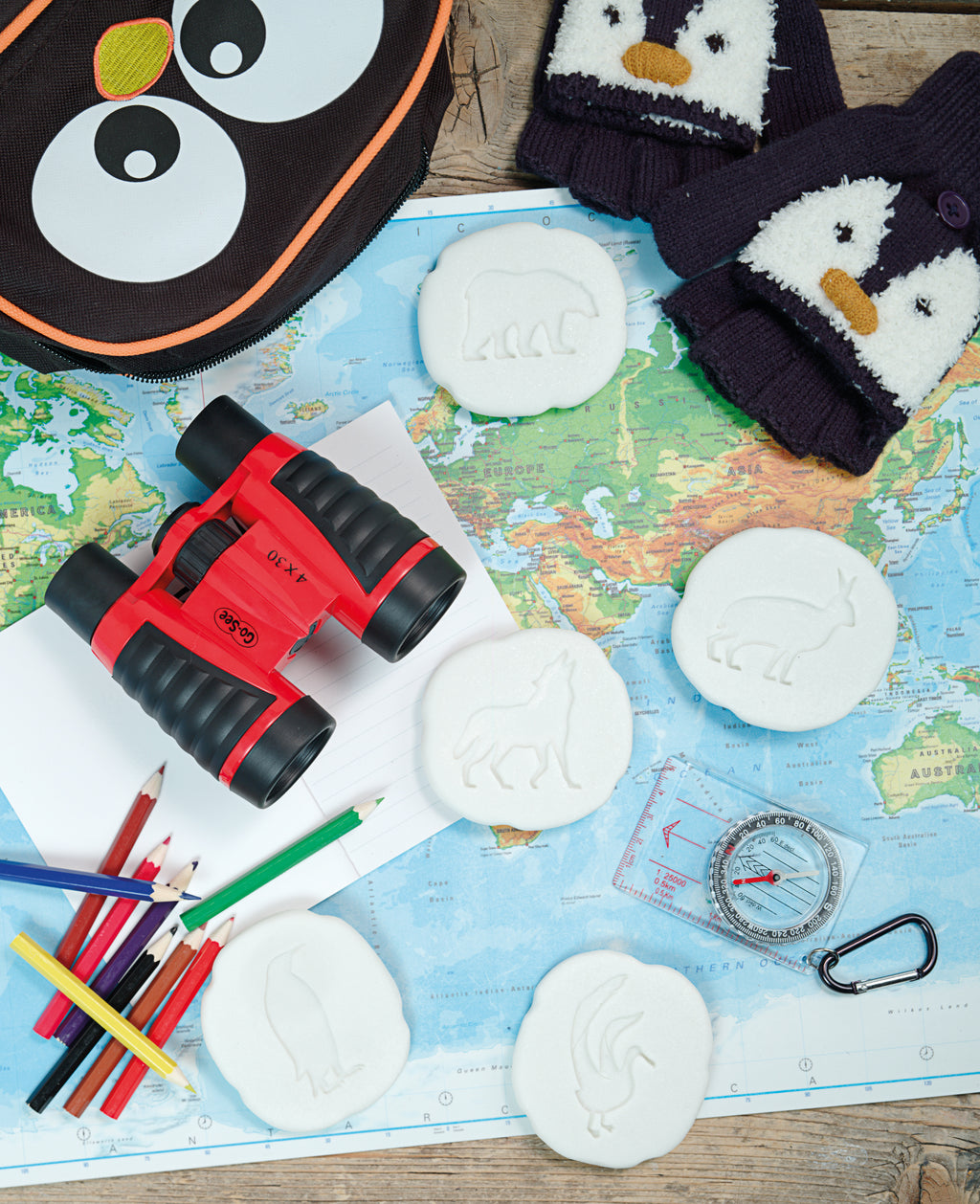 Let’s Investigate pooldieren