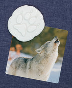 Let’s Investigate pooldieren