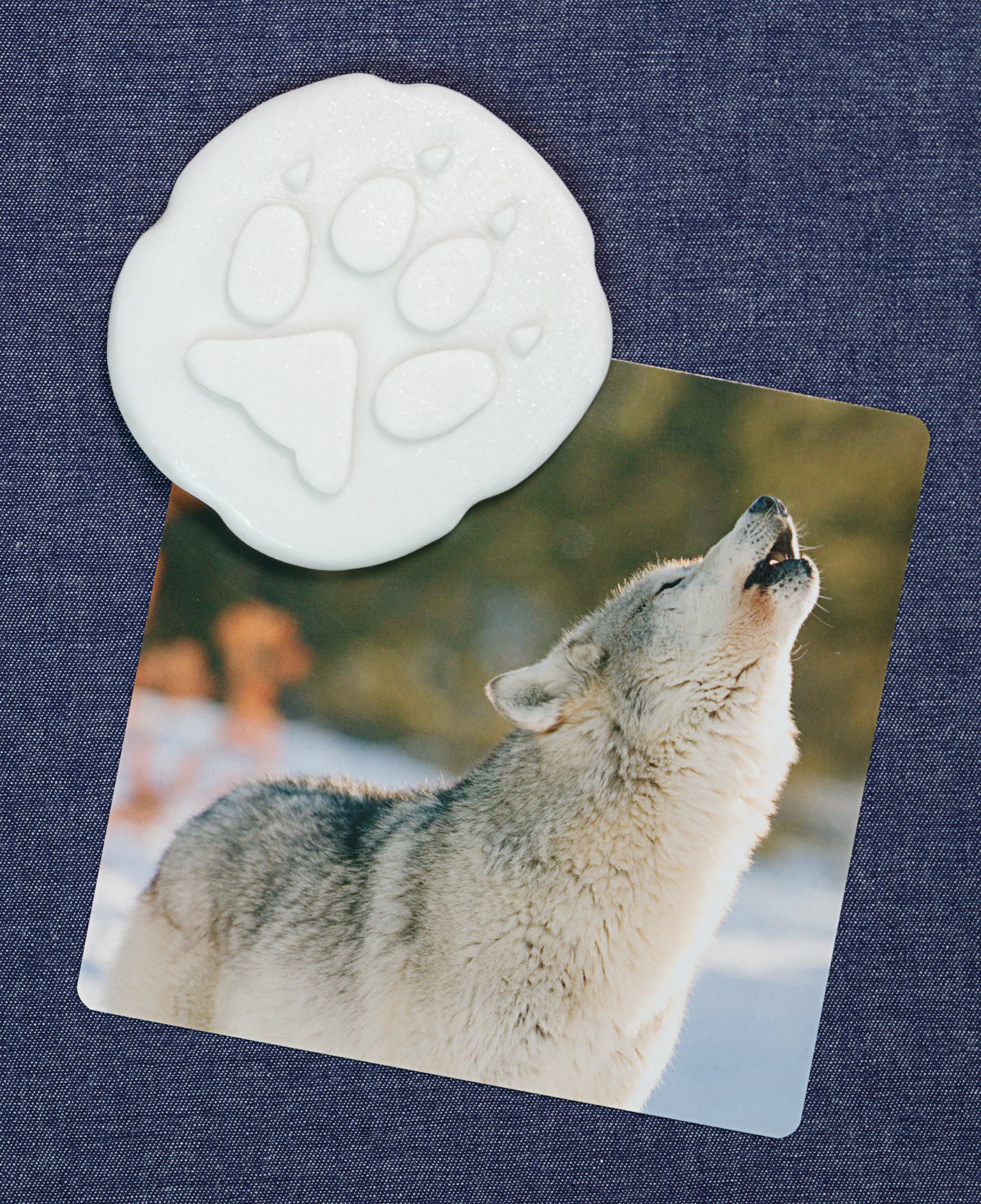 Let’s Investigate pooldieren