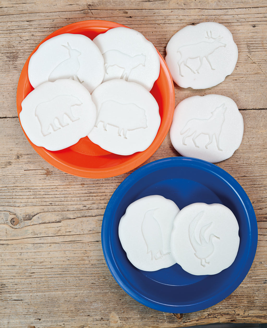 Let’s Investigate pooldieren