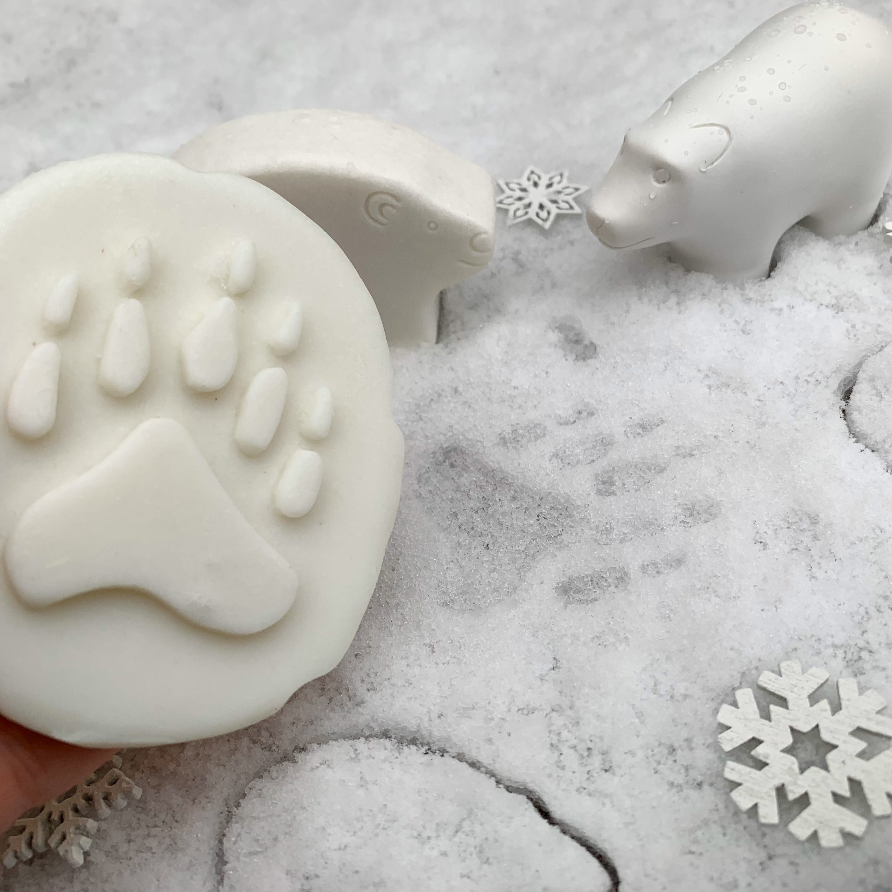 Let’s Investigate pooldieren