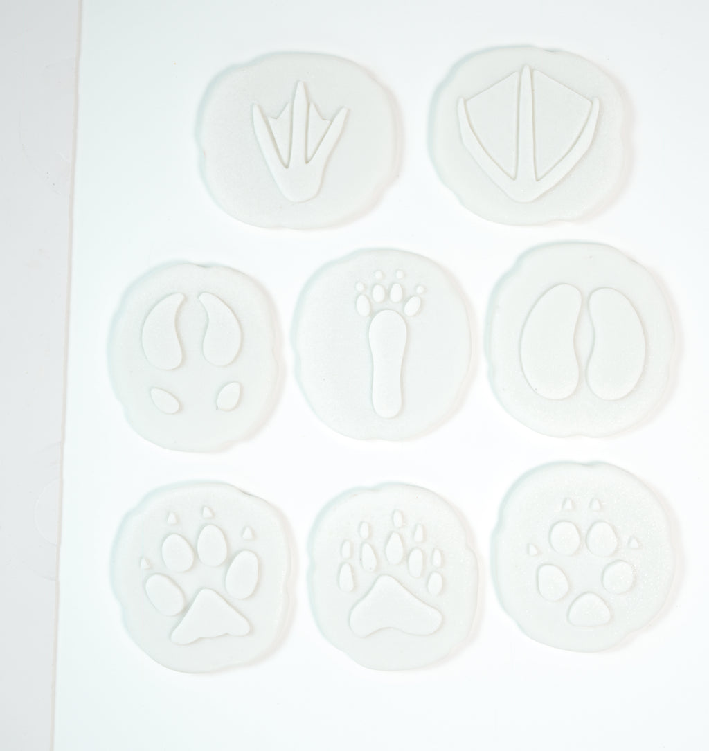 Let’s Investigate pooldieren