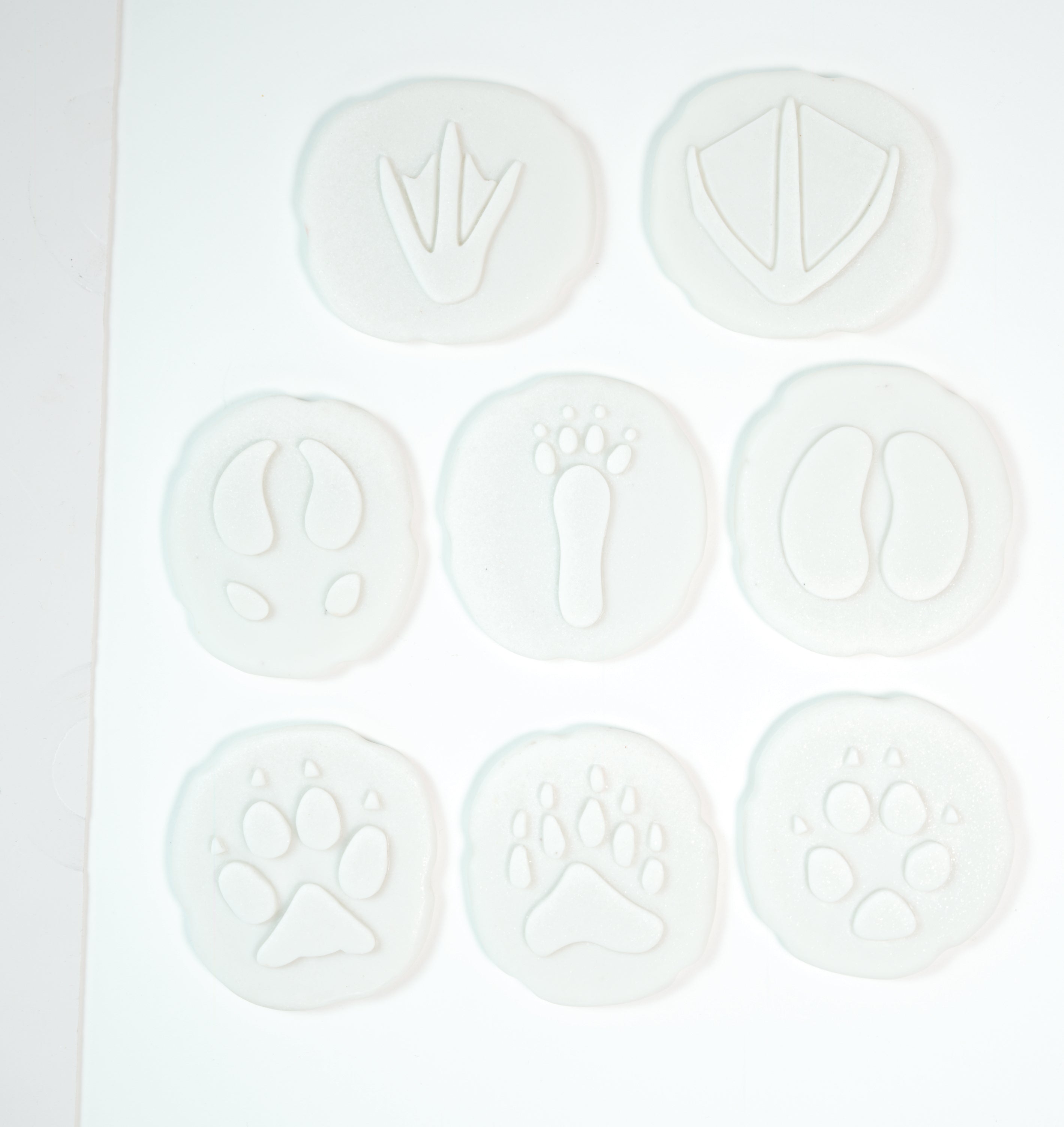 Let’s Investigate pooldieren