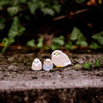 Verzameling nachtdieren