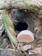 Little Lands Bos