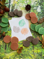 Scenery Stones Forest Play