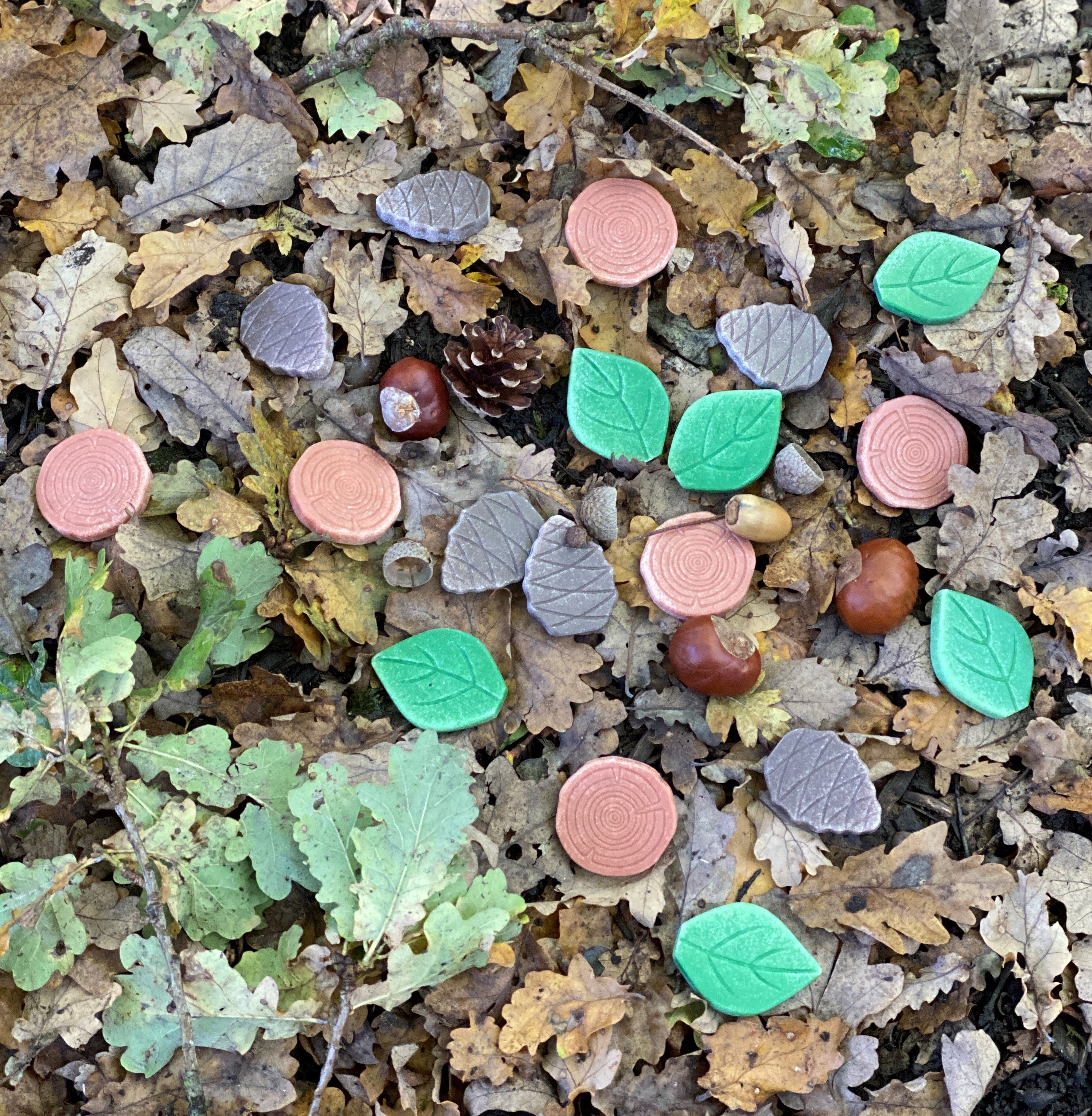 Scenery Stones Forest Play
