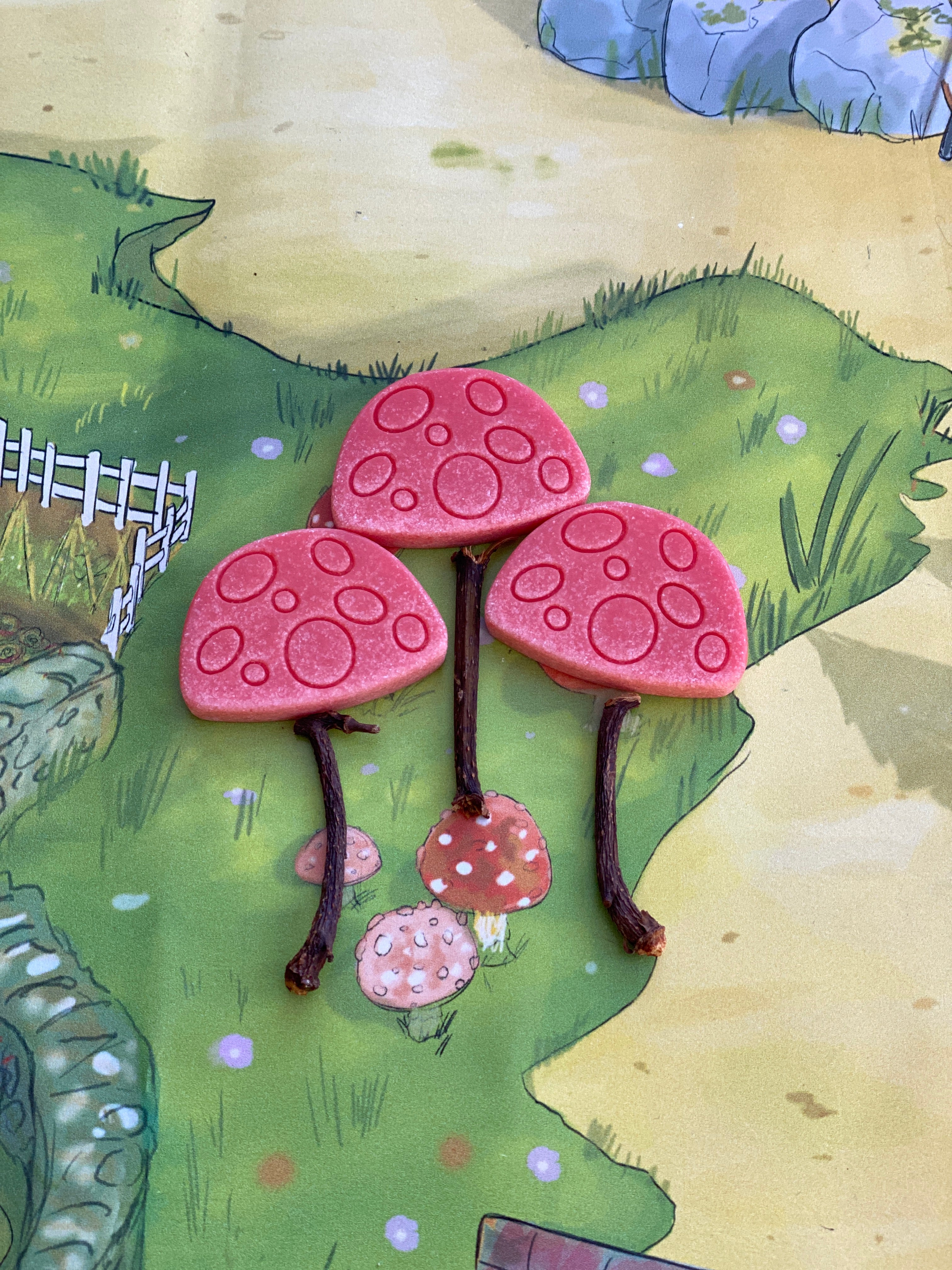 Scenery Stones Fairytale