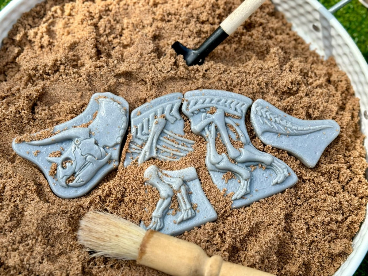 Triceratops & Spinosaurus