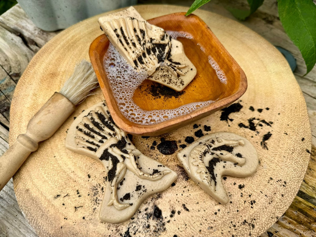 Triceratops & Spinosaurus