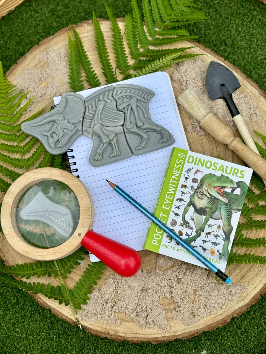 Triceratops & Spinosaurus