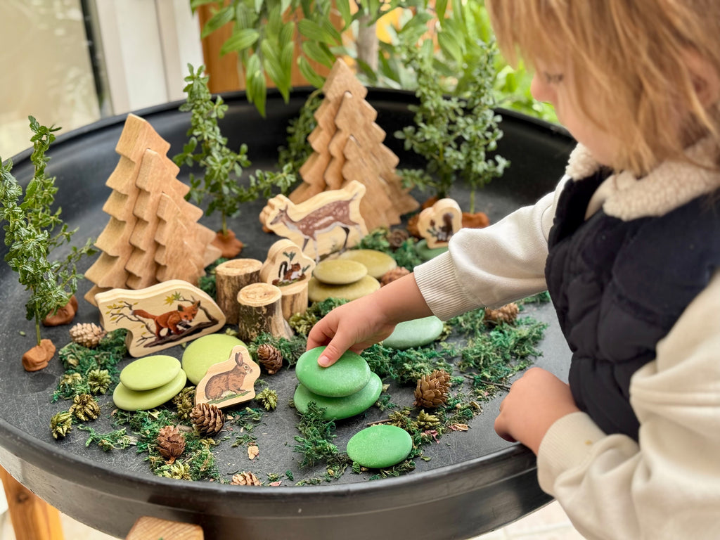 Natural Sorting Stones Nature Collection