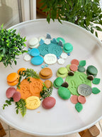 Natural Sorting Stones Nature Collection