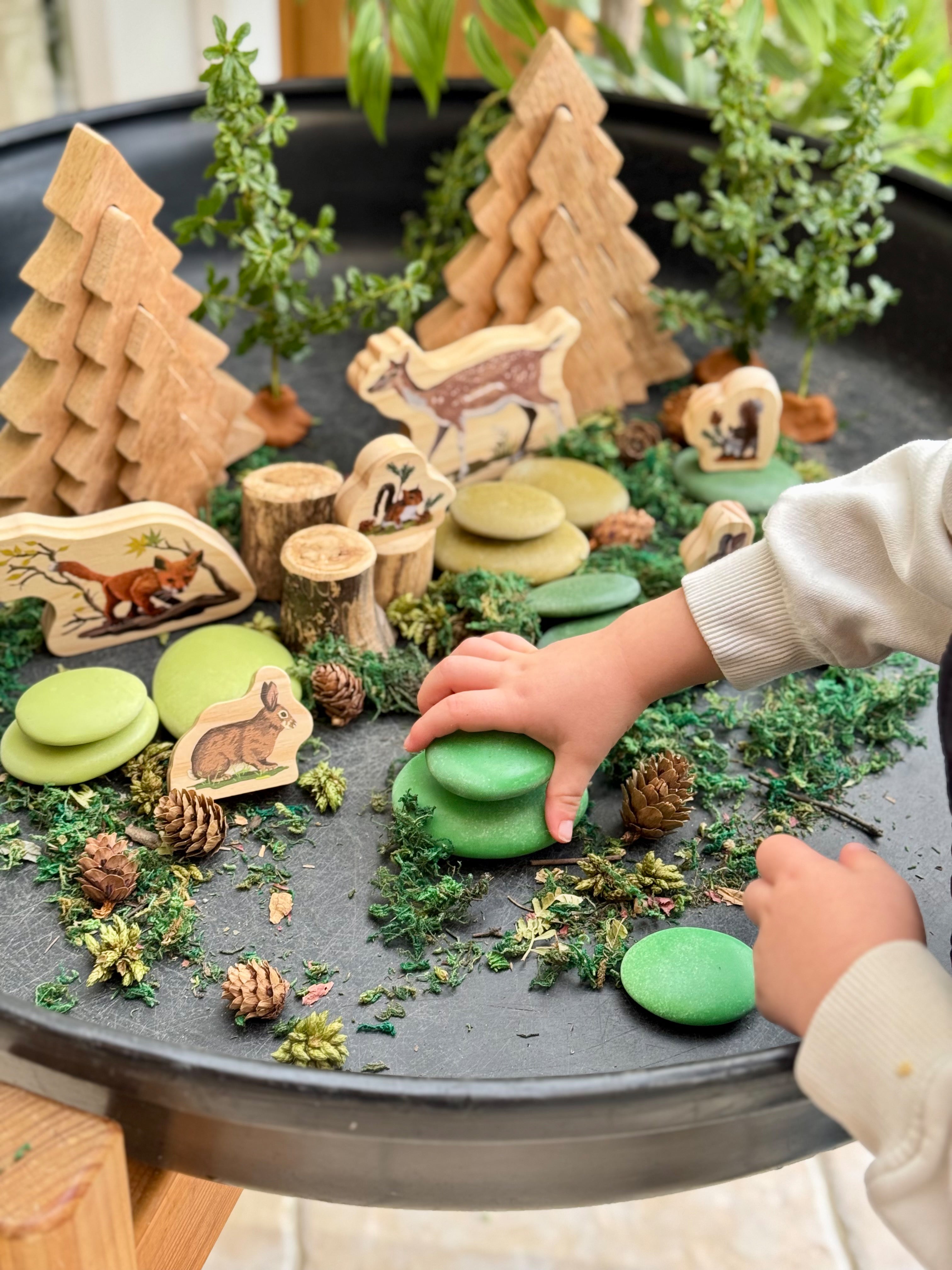 Natural Sorting Stones Nature Collection