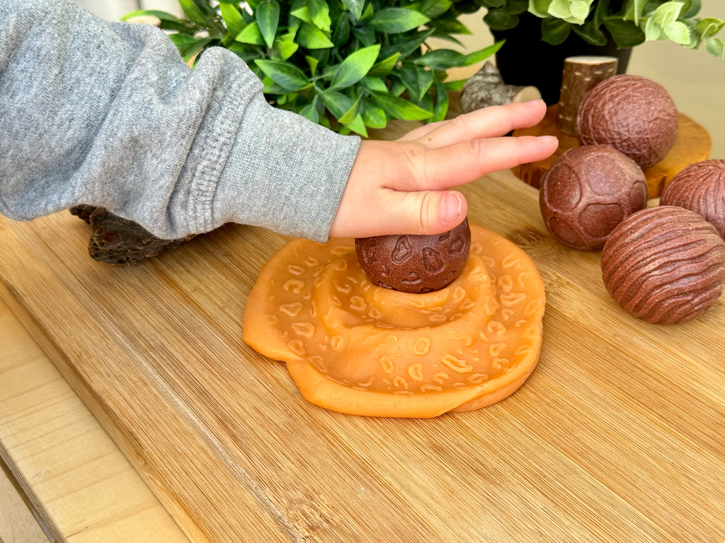 Roll around sensorische ballen Wilde Dieren