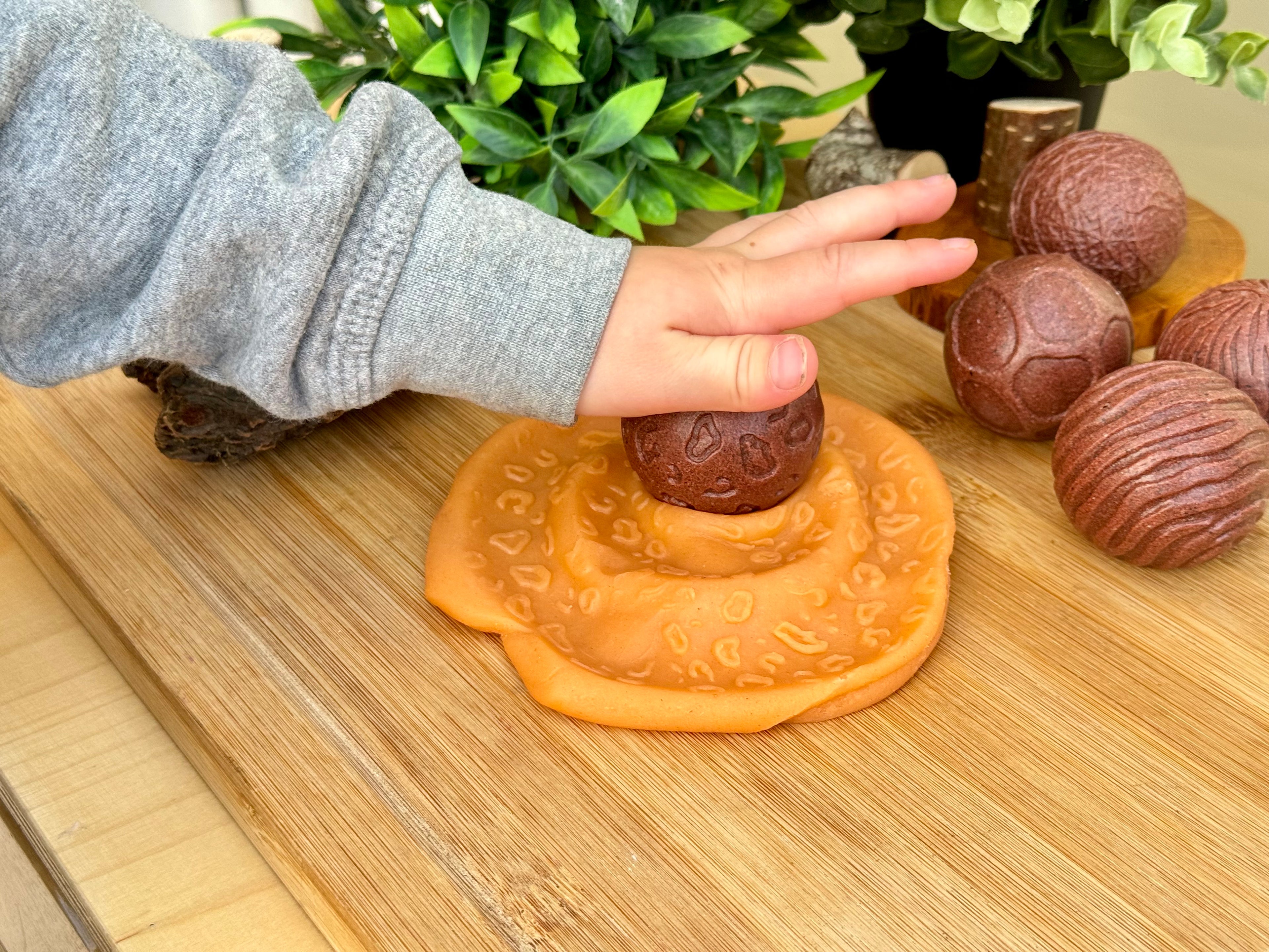 Roll around sensorische ballen Wilde Dieren