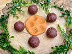 Roll around sensorische ballen Wilde Dieren