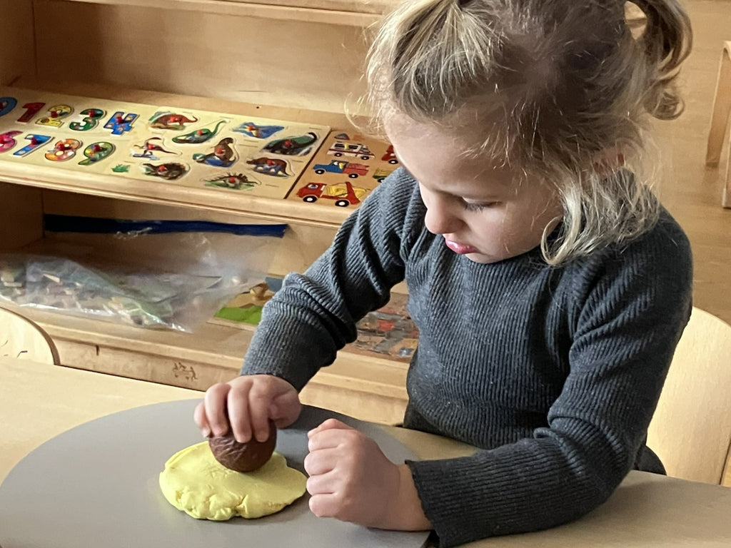 Roll around sensorische ballen Wilde Dieren