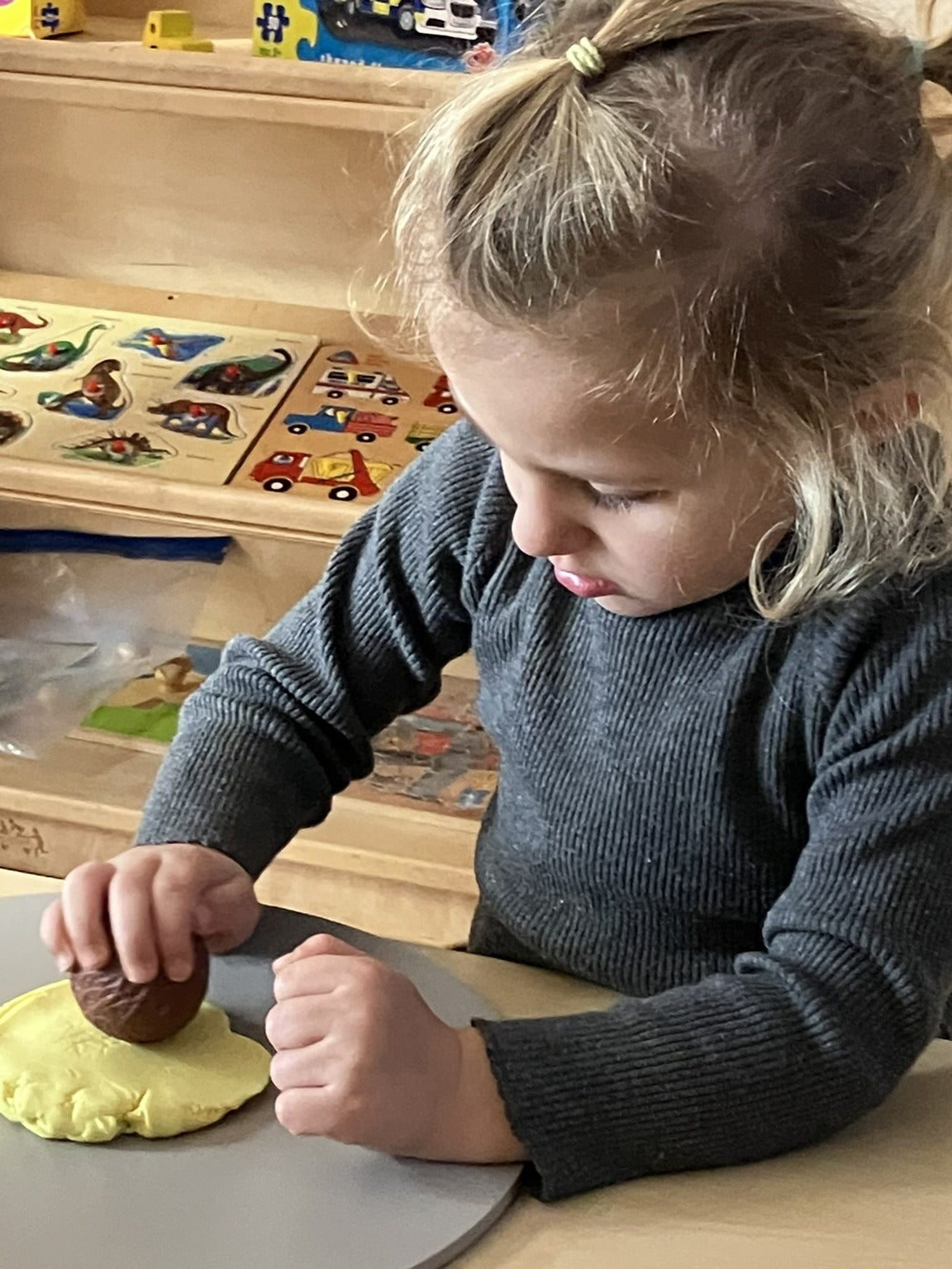 Roll around sensorische ballen Wilde Dieren