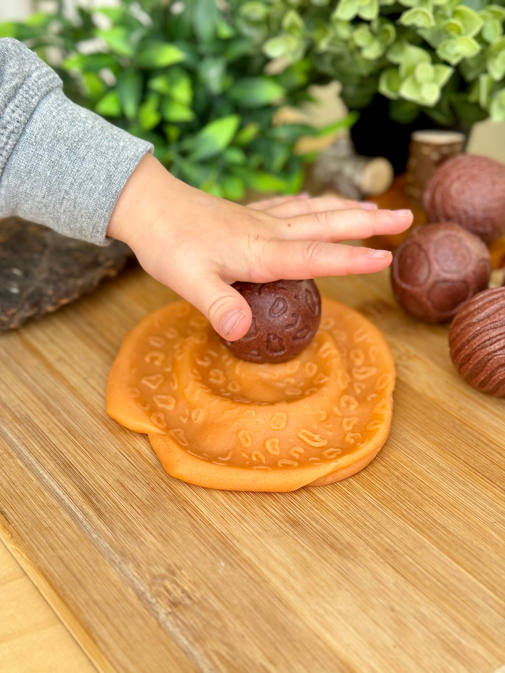 Roll around sensorische ballen Wilde Dieren