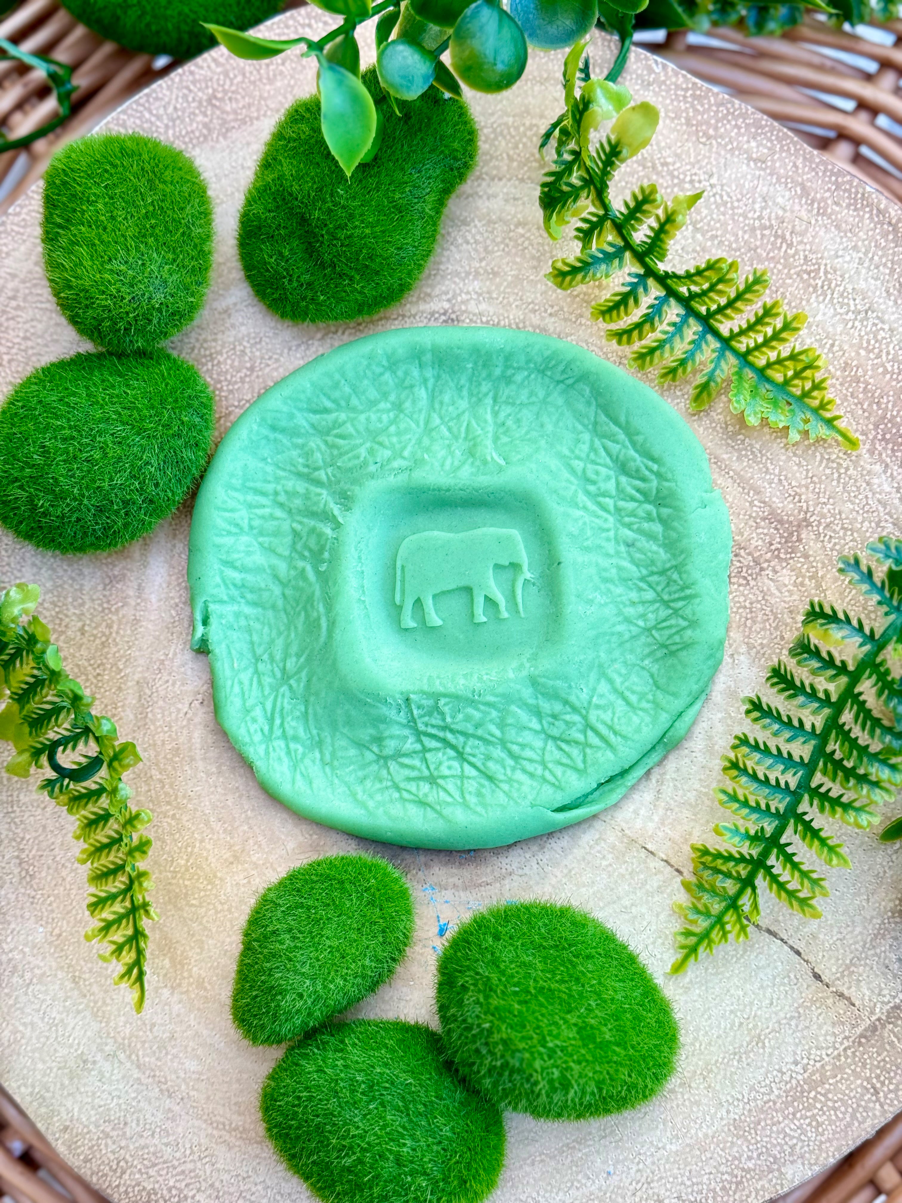 Roll around sensorische ballen Wilde Dieren