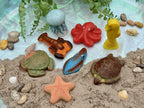 Sensory Play Stones Oceaan leven