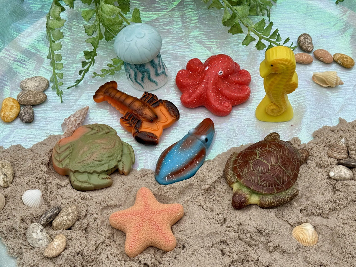 Sensory Play Stones Oceaan leven