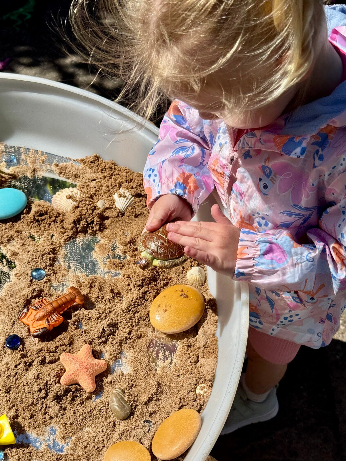 Sensory Play Stones Oceaan leven