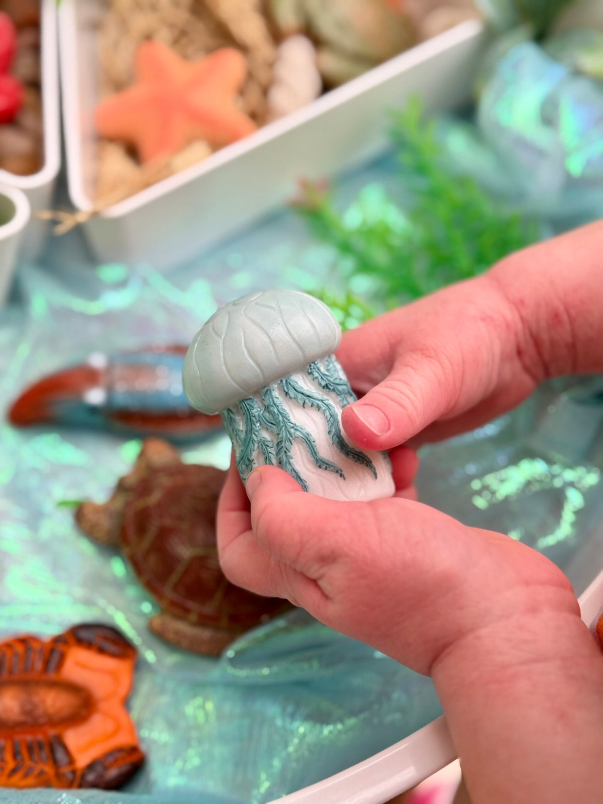 Sensory Play Stones Oceaan leven