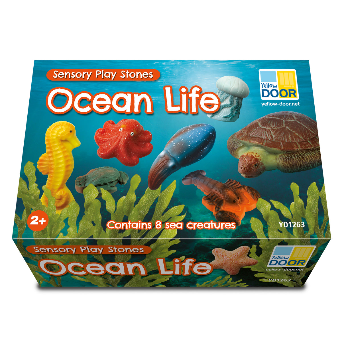 Sensory Play Stones Oceaan leven